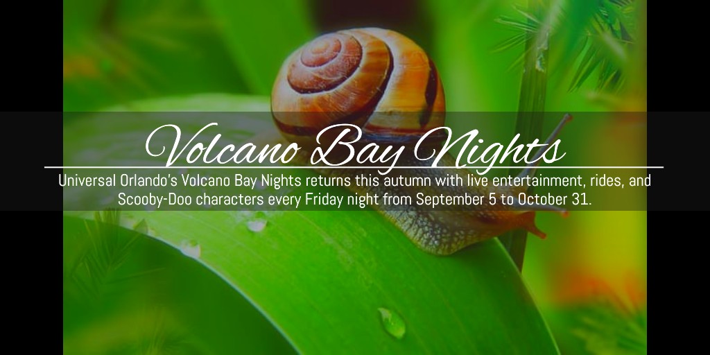 #VolcanoBay #ScoobyDoo